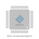 G5PA-1-M-EDC24BYOMZ(PF)
