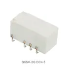 G6SK-2G DC4.5