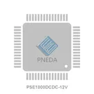 PSE1000DCDC-12V