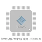 GW P9LT32.PM-QPQQ-B2G2-1-750-R18-IN