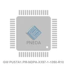 GW PUSTA1.PM-NDPA-XX57-1-1050-R18