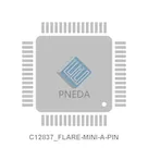 C12837_FLARE-MINI-A-PIN