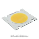 BXRA-50C5300-H-04