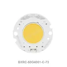 BXRC-50G4001-C-73