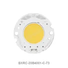 BXRC-20B4001-C-73