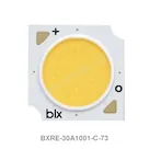 BXRE-30A1001-C-73