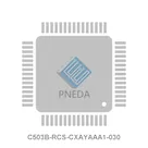 C503B-RCS-CXAYAAA1-030