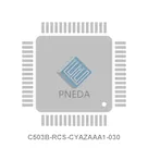 C503B-RCS-CYAZAAA1-030