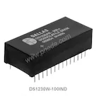 DS1230W-100IND