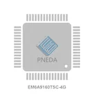 EM6A9160TSC-4G