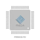 PM5993B-FEI