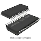 MSP430G2313IPW28R