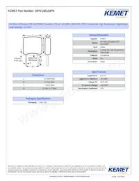 30HV14B103PN Datasheet Copertura