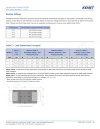 A700X127M010ATE010 Datasheet Page 10
