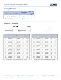A72QT3100AA02M Datasheet Page 2