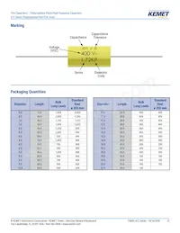 A72QT3100AA02M Datasheet Page 12