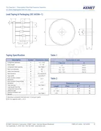 A72QT3100AA02M Datasheet Page 13