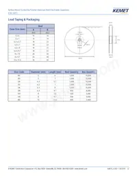 A765EG157M1CLAE027 Datasheet Page 12