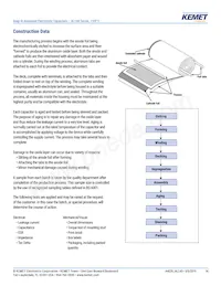 ALC40A331DD400 Datasheet Pagina 14