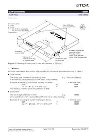 B39192B8837P810 Datasheet Page 15