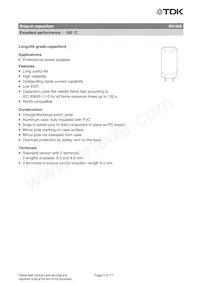 B41505A8109M Datasheet Page 2