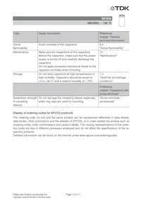 B41554E9159Q000 Datasheet Page 14