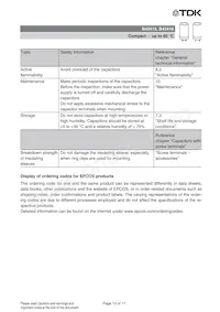 B43415C6258A000 Datasheet Pagina 13