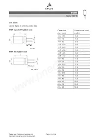 B43866A2227M 데이터 시트 페이지 15