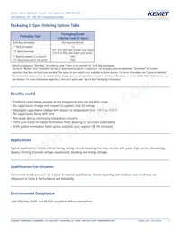 C0603C270F3GACTU Datasheet Page 2