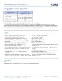 C0603T680J5GCLTU Datasheet Page 2