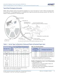 C0603X162M8JACAUTO Datasheet Pagina 13