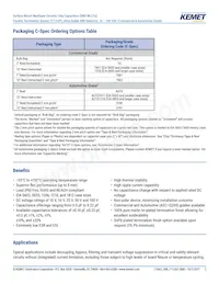 C0603X331G3HACAUTO Datasheet Pagina 2