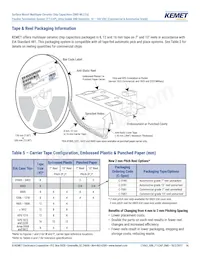 C0603X331G3HACAUTO Datasheet Pagina 14