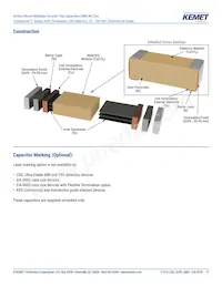 C0805C271F5GALTU Datasheet Pagina 13