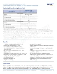 C0805X121J5GAC7800 Datasheet Page 2