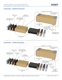 C0805X222G3GEC7210 Datasheet Pagina 12