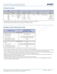 C1206C273G5JAC7800 Datasheet Pagina 2