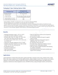 C1206C331JBGACTU Datasheet Page 2