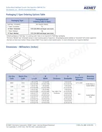 C1206C473Z5UACTU Datasheet Page 2