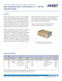 C1206H273J5GACT500 Datasheet Cover