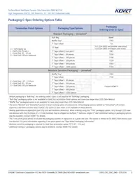 C1206H273J5GACT500 데이터 시트 페이지 3