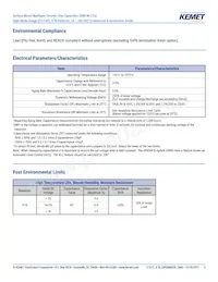 C1206J224K3RACAUTO Datasheet Pagina 5