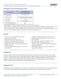 C1206X103KBRACTU Datasheet Page 2