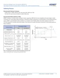 C1206X103KBRACTU Datasheet Page 11