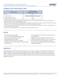 C1206X104K2RACAUTO Datasheet Page 2