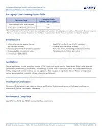 C2220C106M5R2C7186 Datasheet Pagina 2