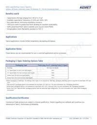 C315C153M1U5TA Datasheet Pagina 2