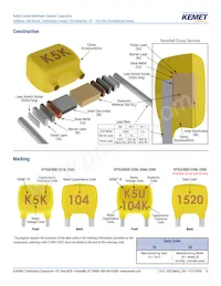 C315C153M1U5TA Datasheet Pagina 15