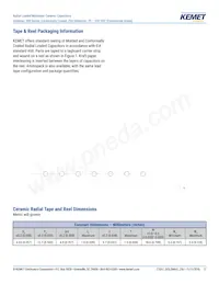 C315C153M1U5TA Datasheet Pagina 17