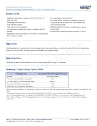 C317C100K2G5TA7301 Datasheet Pagina 2